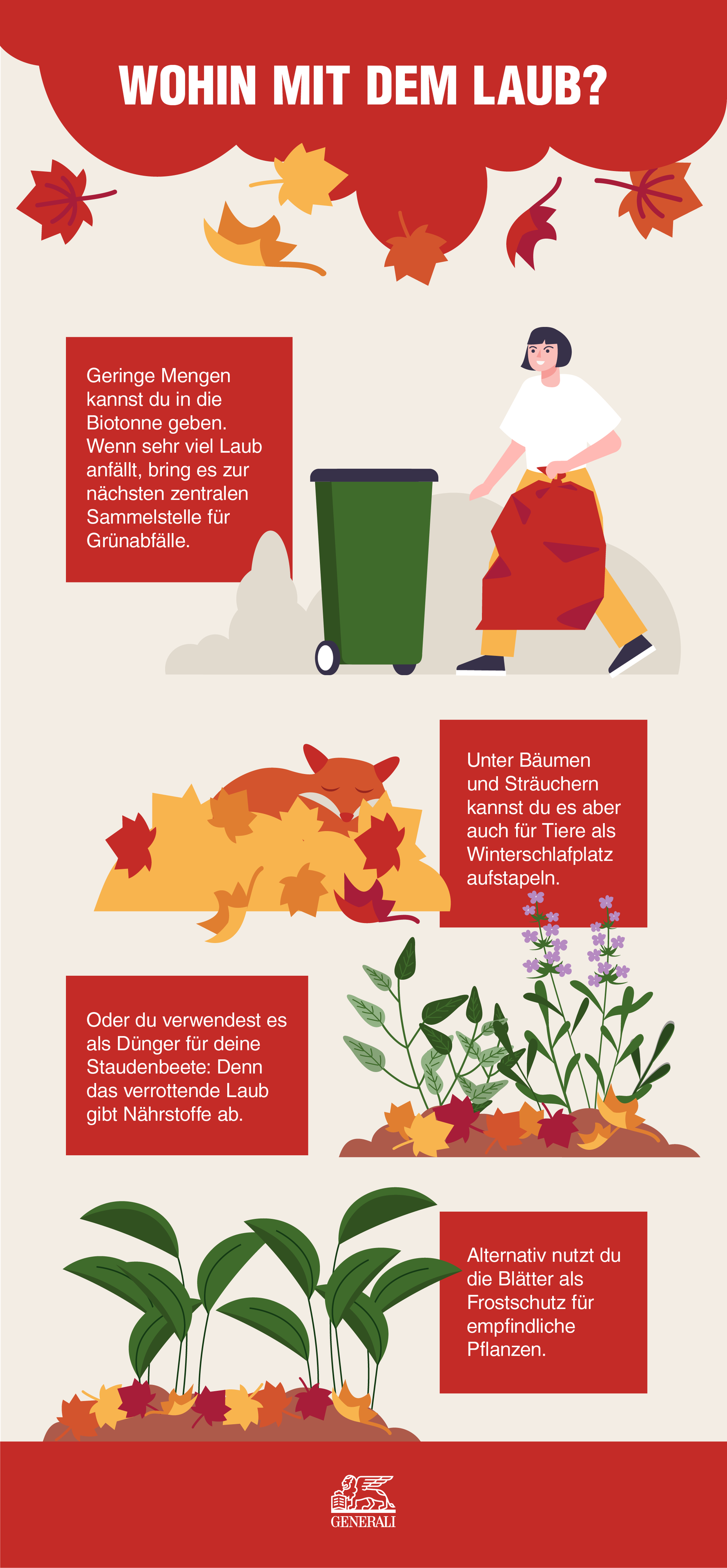 Infografik mit Informationen zur Frage "Wohin mit dem Laub?"