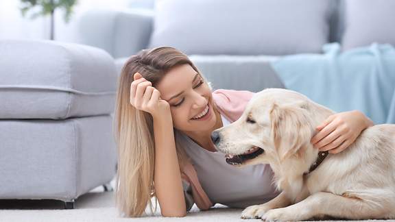 Der Tierhalterhaftpflichtschutz sichert Halter von Hunden oder Pferden ab.