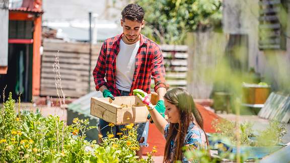 Urban Gardening: Obst, Gemüse und Kräuter anbauen ganz ohne Garten