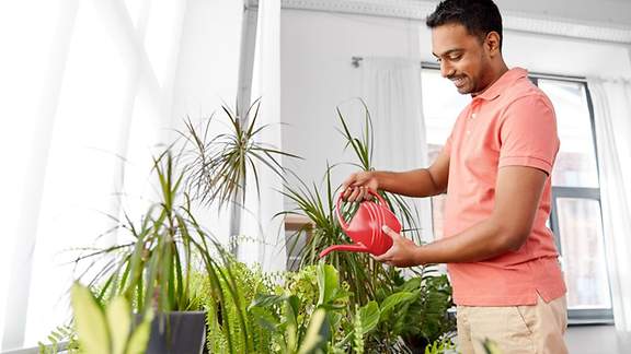 Mann gießt Zimmerpflanzen in seinem Zuhause