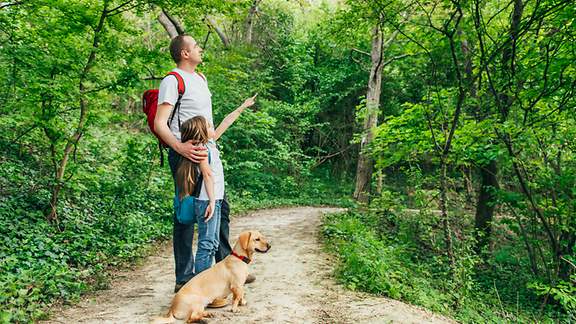 Ein Vater und seine Tochter gehen mit dem Hund im Wald spazieren