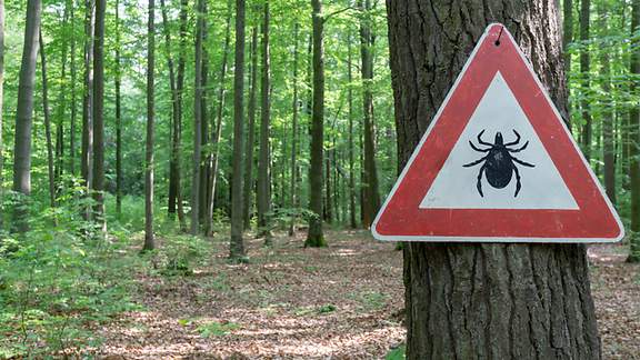 Zecken-Warnschild im Wald