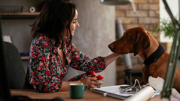 Junge Frau im Büro am Schreibtisch zusammen mit ihrem Hund.