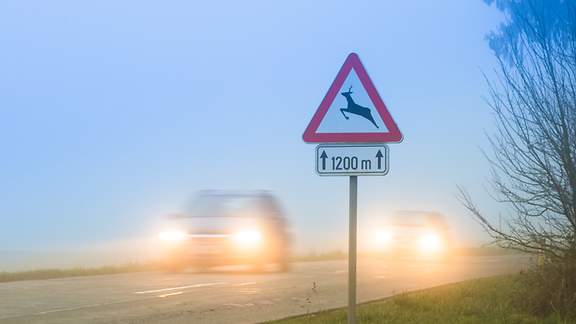 Straßenschild Hinweis auf Wildtiere