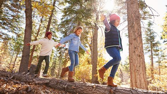 Drei Kinder balancieren über einen umgestürzten Baumstamm