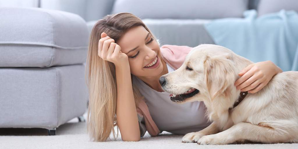 Der Tierhalterhaftpflichtschutz sichert Halter von Hunden oder Pferden ab.