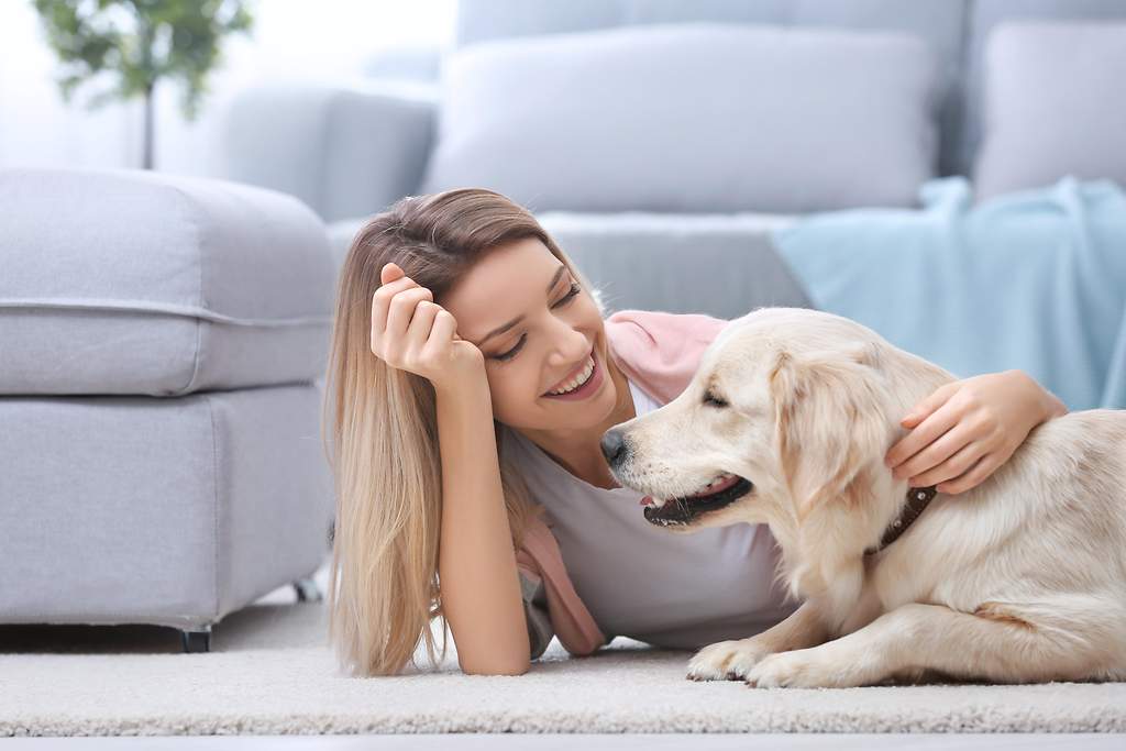 Der Tierhalterhaftpflichtschutz sichert Halter von Hunden oder Pferden ab.