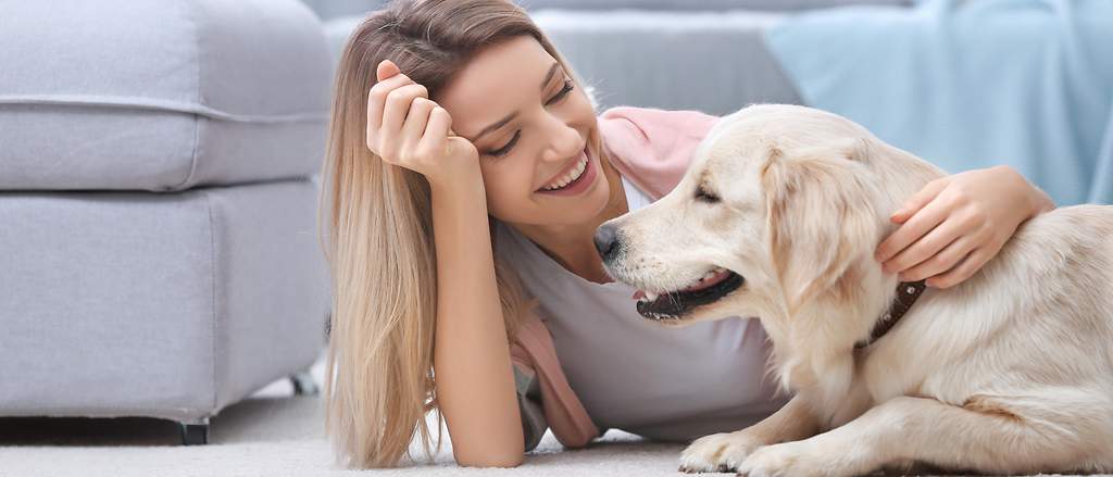 Der Tierhalterhaftpflichtschutz sichert Halter von Hunden oder Pferden ab.