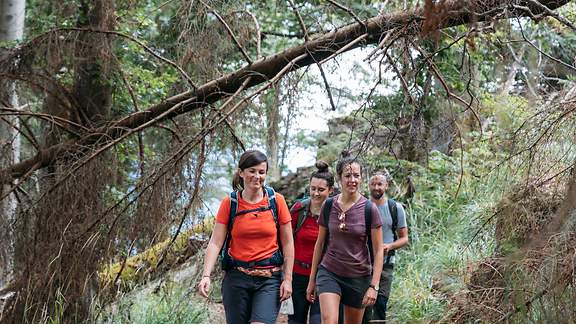 Naturcoach Maria Müller mit einer Gruppe im Wald